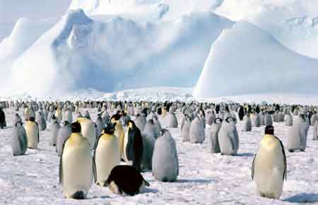 Good Luck Chuck《幸運查克》精講之六