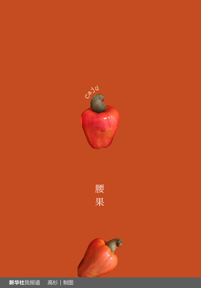 “瘋狂水果城”里約：給你點(diǎn)顏色瞧瞧！