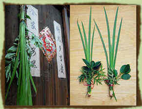 盤(pán)點(diǎn)端午節(jié)習(xí)俗