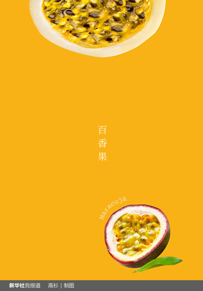 “瘋狂水果城”里約：給你點顏色瞧瞧！
