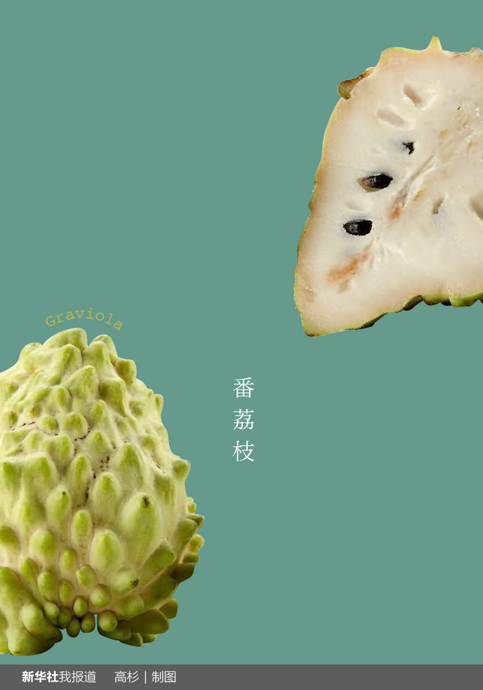 “瘋狂水果城”里約：給你點顏色瞧瞧！