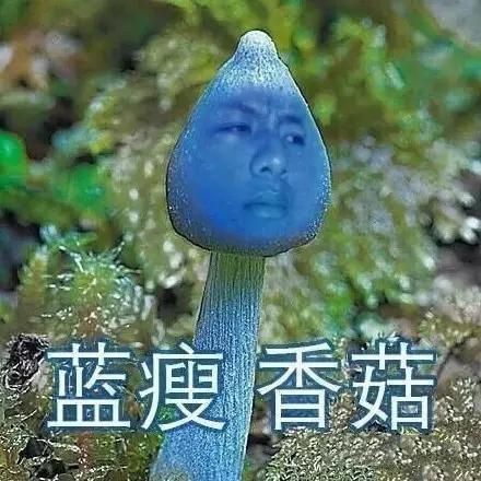 盤點(diǎn)：2016年度網(wǎng)絡(luò)熱詞你全懂嗎？（組圖）
