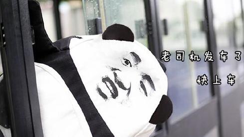 盤點：2016年度網(wǎng)絡熱詞你全懂嗎？（組圖）
