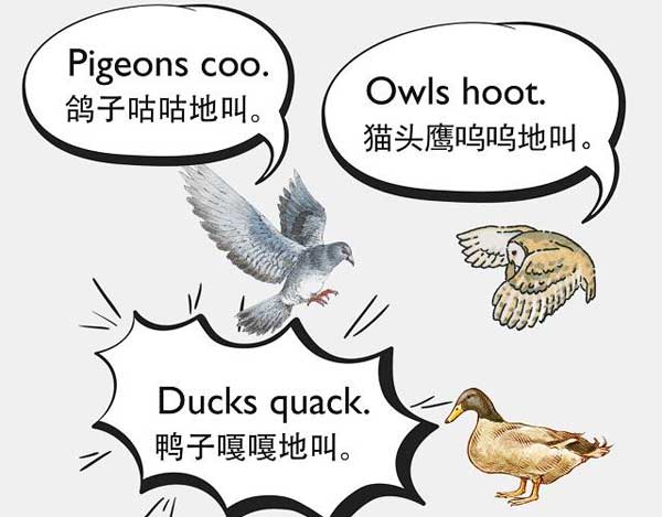 自然界中有各種聲音 如何用英語來描述動物的叫聲？