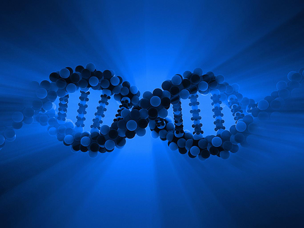 科學家或?qū)⒏脑烊祟惢蛞灾委熯z傳病