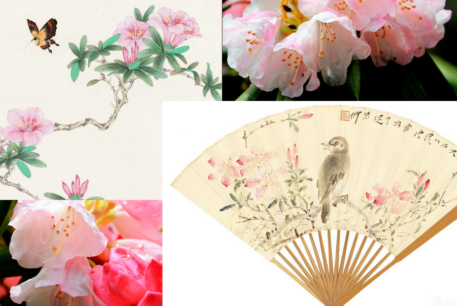 最能代表中國(guó)的10種花：你對(duì)它們了解多少（組圖）