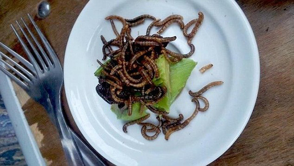 受不了臭豆腐、血腸 老外卻有更奇葩的美食