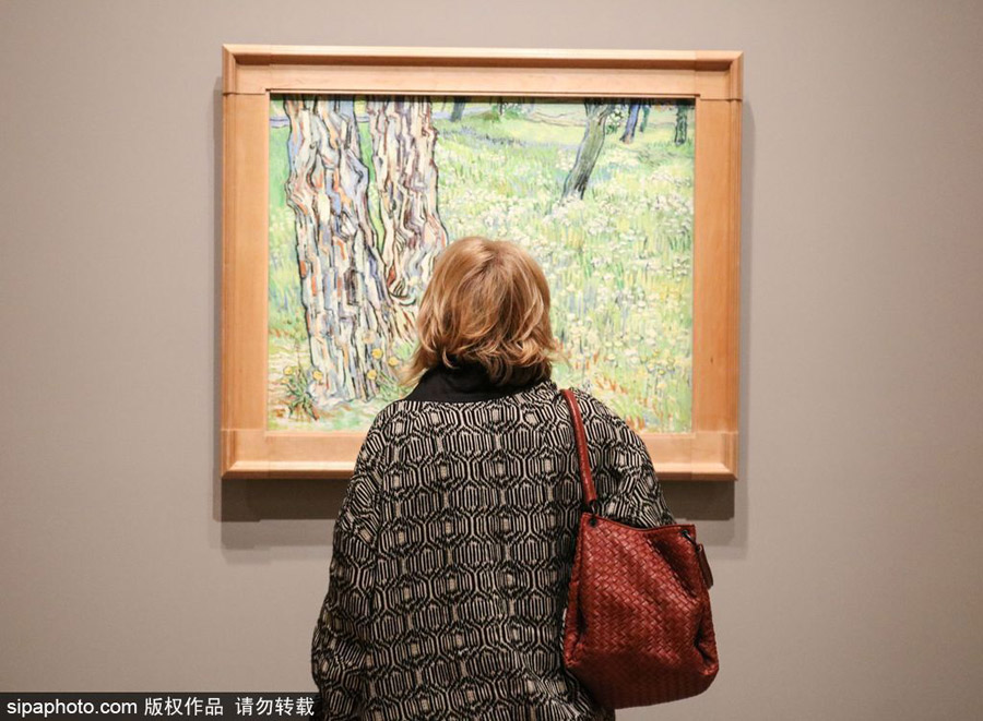 全球獨(dú)家！世界上首個(gè)梵高個(gè)人作品展在墨爾本舉辦（組圖）