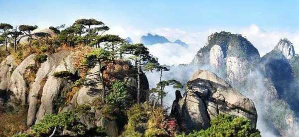 “小心地滑倒”？雷人翻譯終于有人管了，國家給出公共場所英譯標(biāo)準(zhǔn)答案！