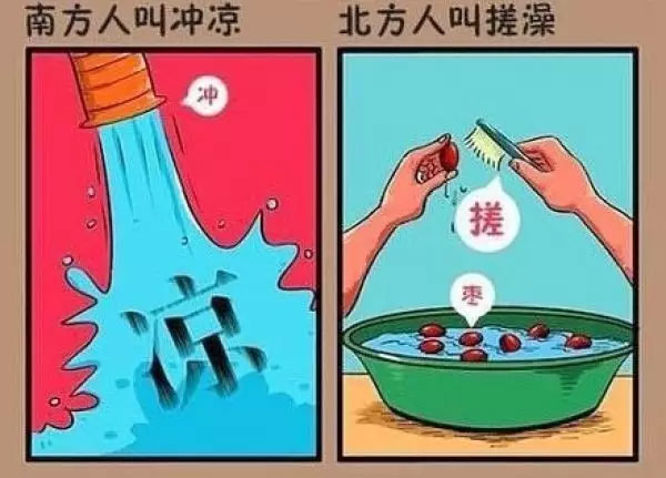“南北差異”大討論：南方買菜買一頓，北方買菜買一噸？