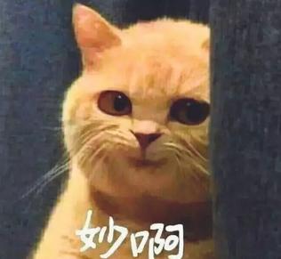 揭秘各國兵哥哥的野戰(zhàn)口糧！看到韓國的，忍不住笑出了聲…