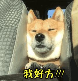 支付寶年度賬單挖了個(gè)大坑，你也不慎掉進(jìn)去了嗎？