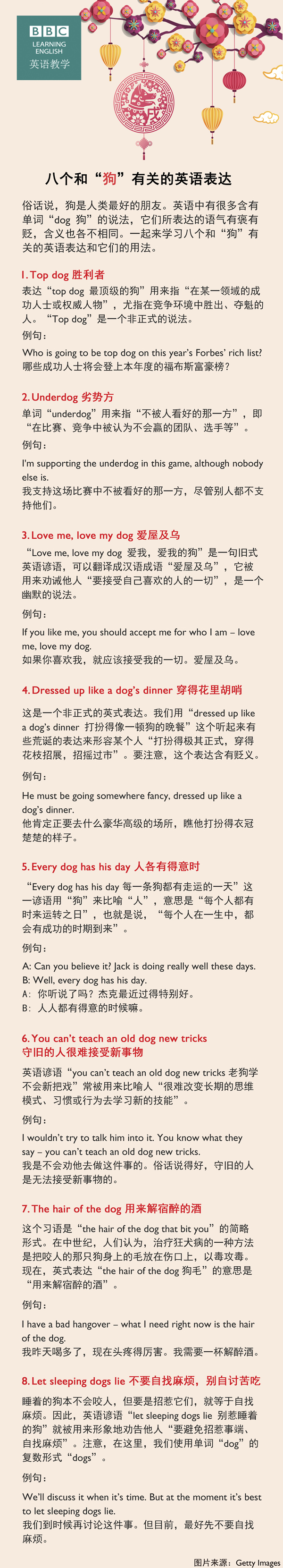 八個(gè)和“狗”有關(guān)的英語表達(dá)
