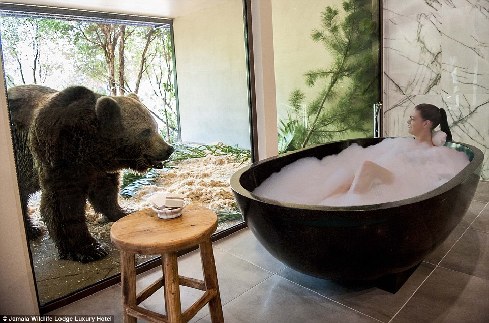 旅館？動物園？這是澳大利亞加馬拉野生動物旅館！
