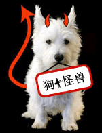趣味翻譯:沒(méi)有自行車的魚(yú)?
