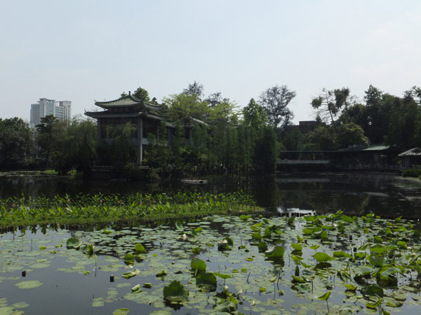 Cycling in Guangzhou brings surprises