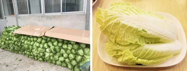 Grocery shopping habit reveals regional difference, sparks discussion