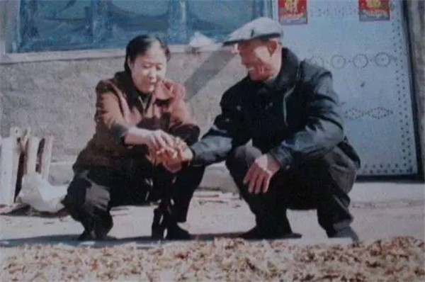 Re-greening mountains in NE China