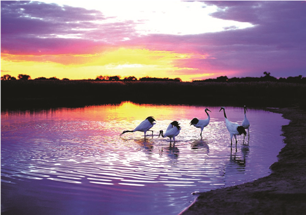 Visiting China Online: Jilin