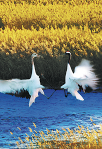 Jilin charts a course toward greener future (2)