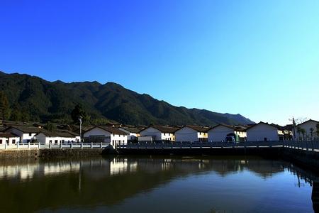 Leaders and Participants:Grassroots Democracy