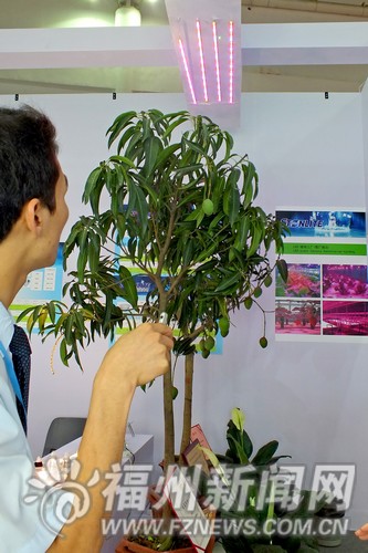 “6·18”節(jié)能產(chǎn)品受青睞 植物墻節(jié)水環(huán)保又美麗