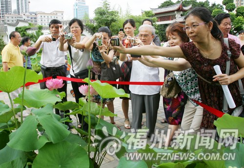 人大代表視察綠化景觀后感嘆：城市變成了大公園