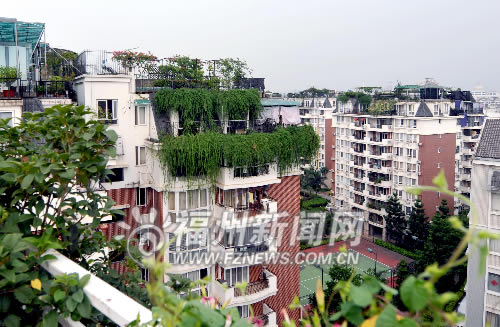 福州擬普及屋頂綠化　園林局正編制相關(guān)技術(shù)導(dǎo)則