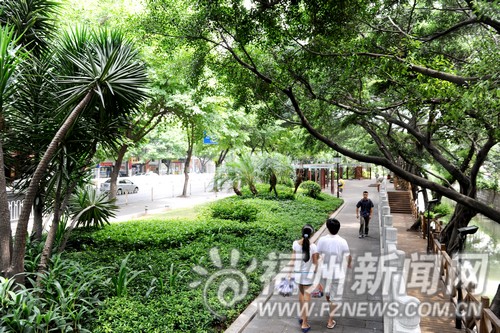 榕大力推進城市生態(tài)環(huán)境建設：花香滿城綠意滿眼