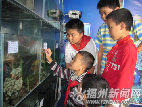 漁溪鄉(xiāng)村少年宮設(shè)54個(gè)功能室　惠及萬余未成年人