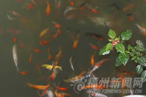 安泰河夜景 別樣韻味