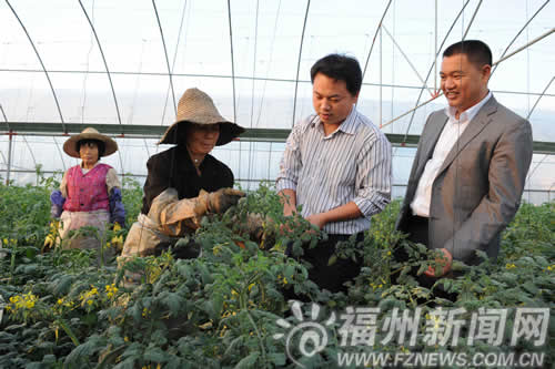 “菜園子”直通“菜藍子”