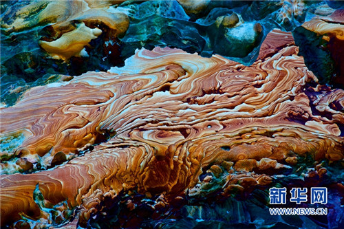 Quirky photography show reveals close cross-Straits ties