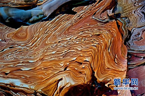 Quirky photography show reveals close cross-Straits ties