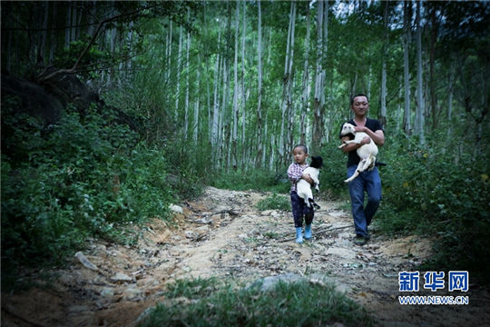 Goat changes the lives of family in Fujian