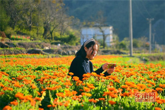 Ceramics hub seeks leisure agricultural development