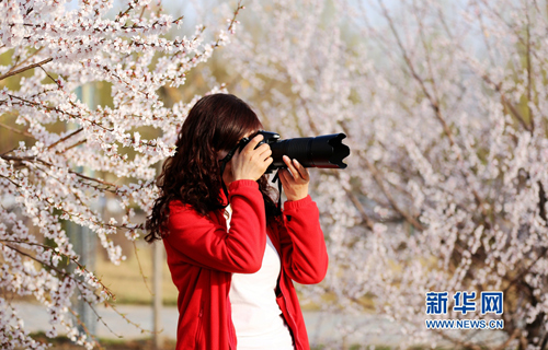 Spring outings in Gansu