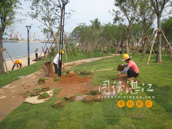 Main part of Zhanjiang Aquatic Sports Center near completion