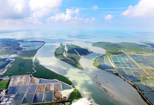 Zhanjiang's air quality ranks top in Q3