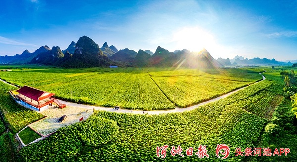 $139 m cocoon silk project starts construction in Yizhou