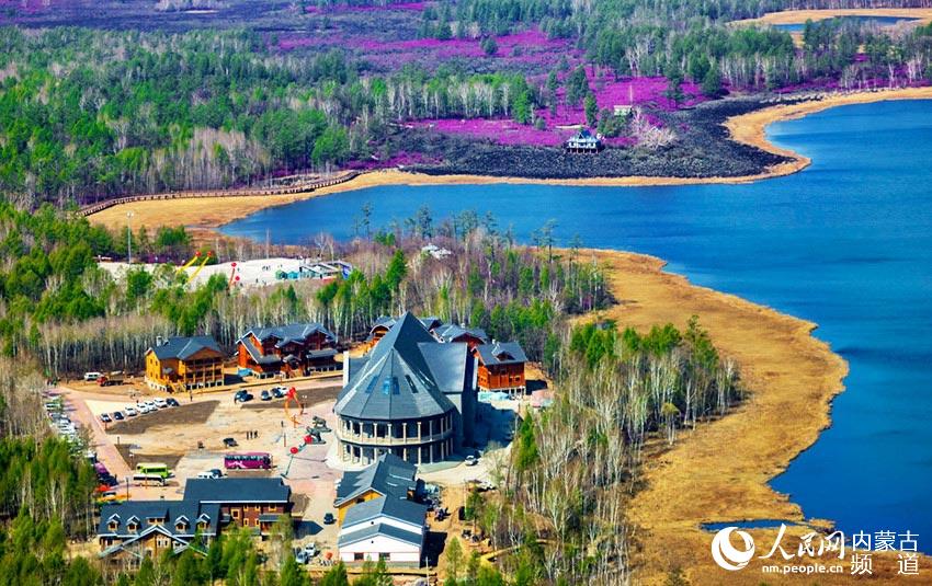 Rhododendrons blossom in Oroqen