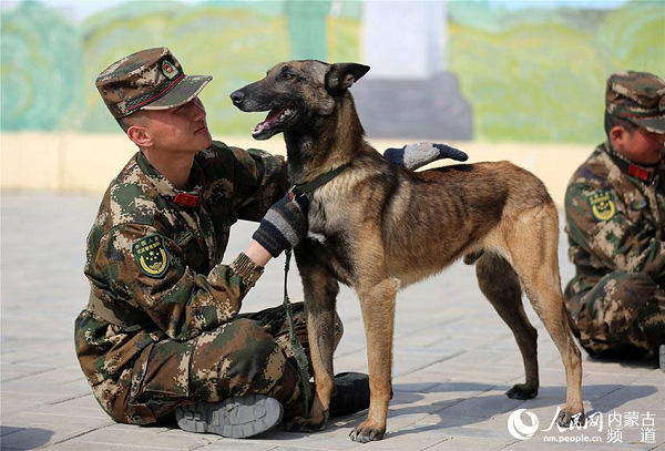Patrol dogs help guard frontier