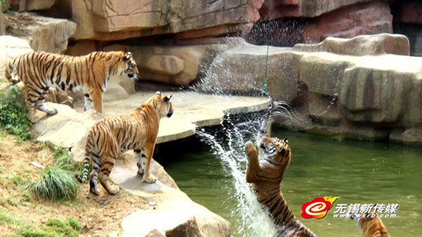 Wuxi in photos: July 17 – 23