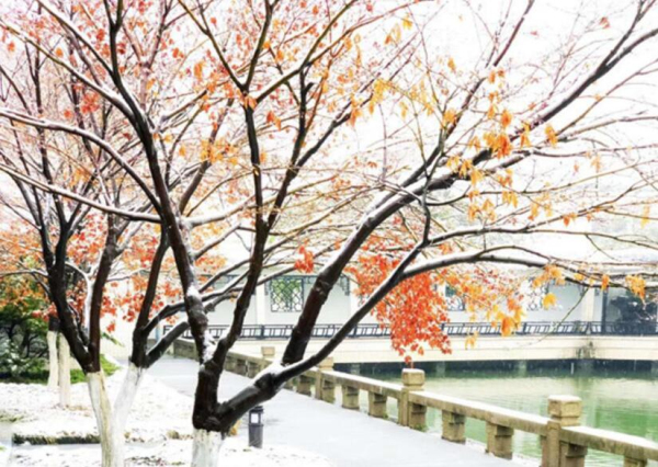 Photos showcases a snow-covered Zhangjiagang