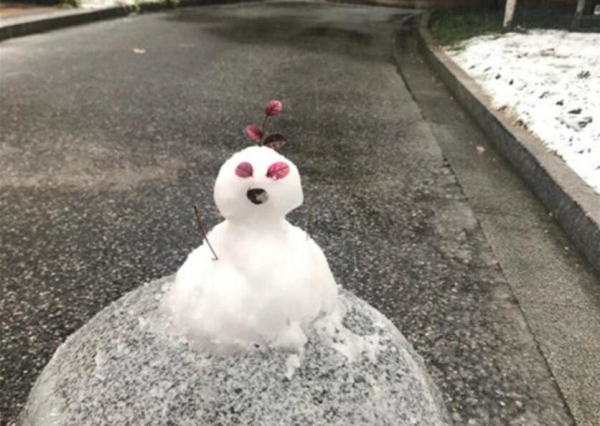 Photos showcases a snow-covered Zhangjiagang