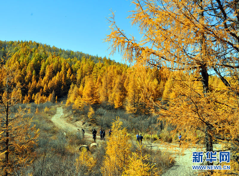 Autumn scenery around China