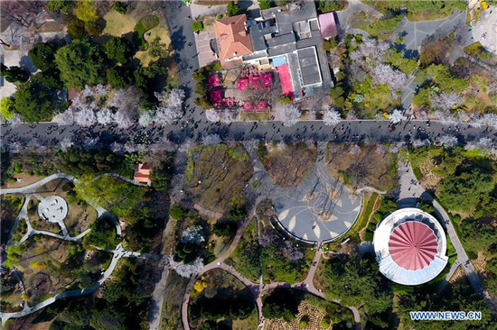 Flower appreciation event held in Qingdao, China's Shandong