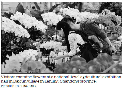 Shandong community sets example for others to follow in rural areas