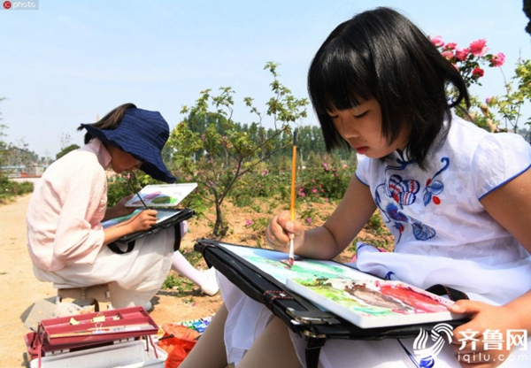 Pingyin roses ready for visitors