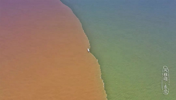 Beautiful Dongying captured in photos